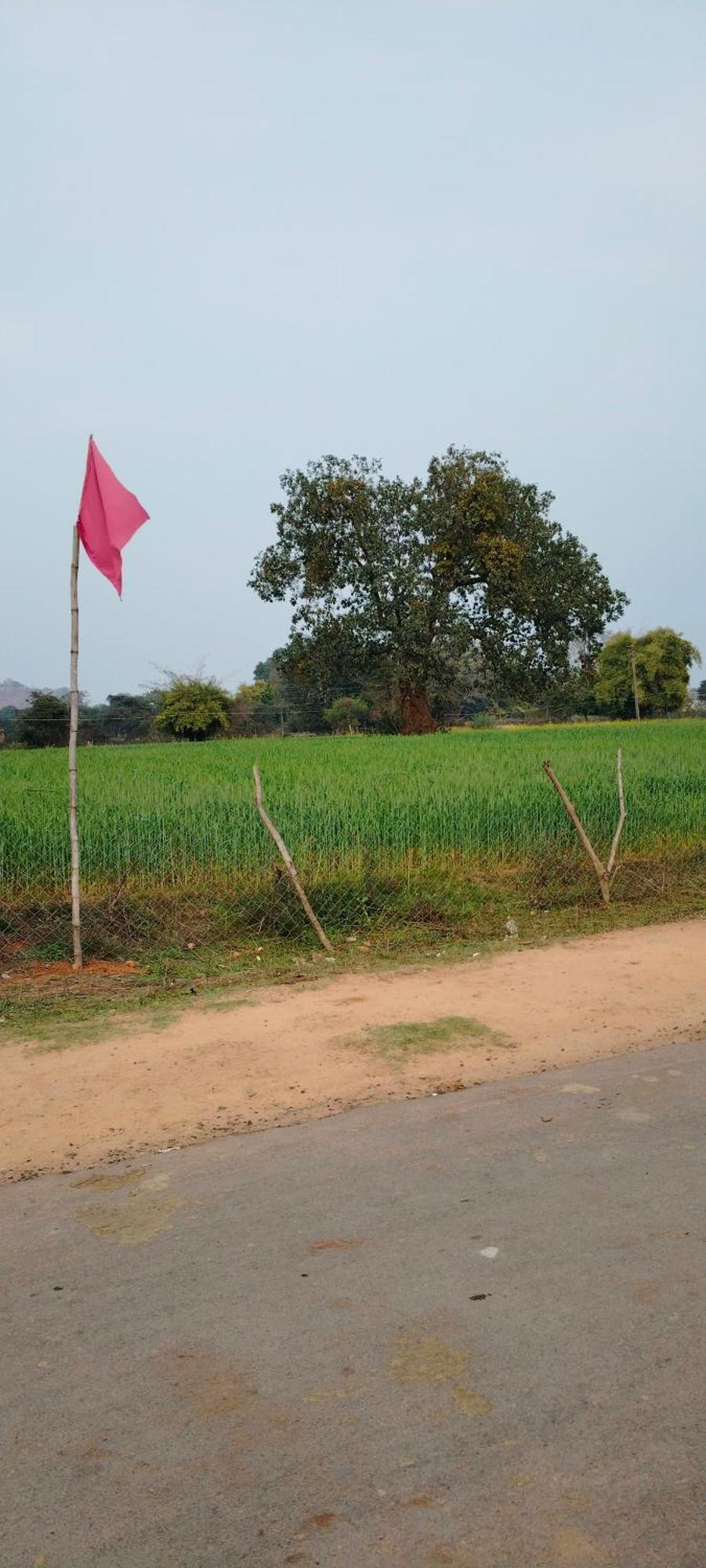Laxmi Home Stay Ghura Exterior photo